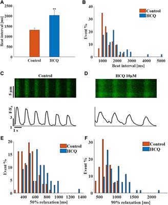 Increase in Ca2+-Activated cAMP/PKA Signaling Prevents Hydroxychloroquine-Induced Bradycardia of the Cardiac Pacemaker